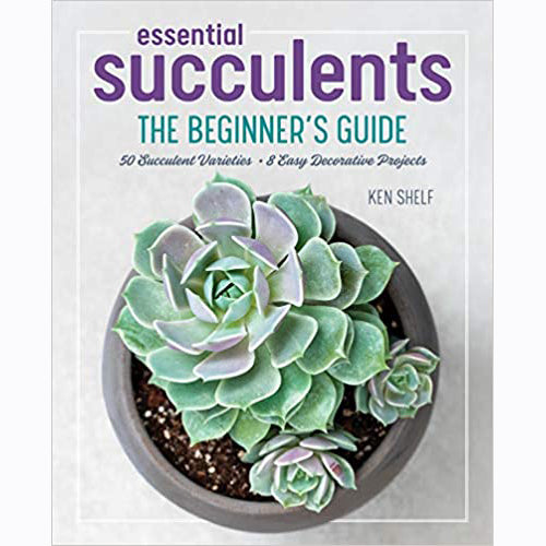 The front cover of Essential Succulents, which consists of a large blue-green and purple rosette-shaped succulent surrounded by two smaller rosettes in a pot. The title reads 