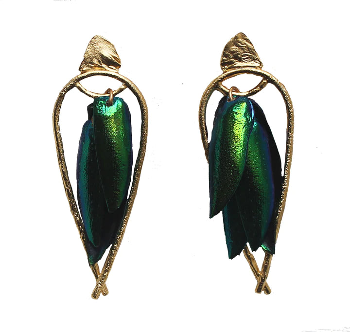 Arched Seasons - Enclosed Beetle Wing Earrings