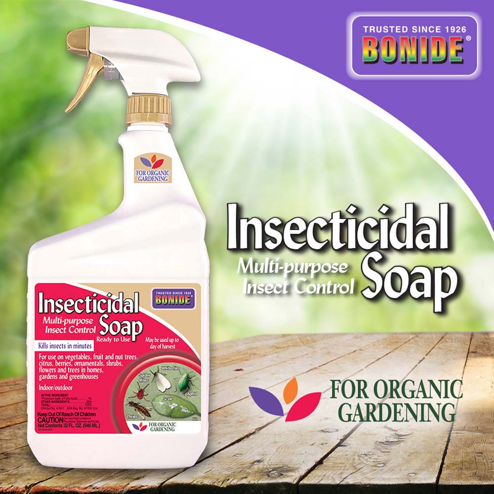 A flyer for Bonide Insecticidal Soap. The left side is a quart-sized bottle of Insecticidal Soap, which comes with a spray nozzle. Text at the bottom right reads: 