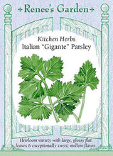 Load image into Gallery viewer, A packet of Renee&#39;s Italian &#39;Gigante&#39; parsley seeds. There is a botanical illustration of green parsley leaves in the center of the packet. Text across the bottom reads: &quot;Heirloom variety with large, glossy flat leaves &amp; exceptionally sweet, mellow flavor.&quot;
