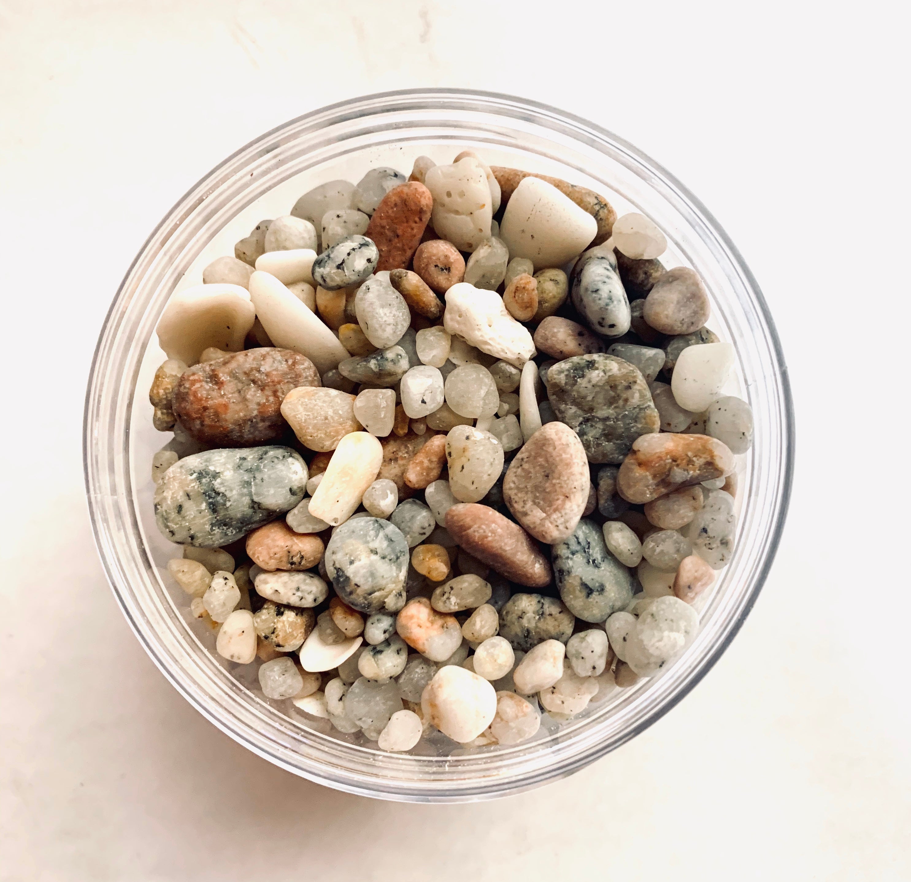 A gods-eye view of a jar of speckled white pebbles, with some small shells scattered within.