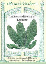 Load image into Gallery viewer, A packet of Renee&#39;s Italian Heirloom Kale Lacinato seeds. There is a drawing of Italian heirloom kale. Text across the bottom reads: &quot;Delicious, nutrition-packed blue-green crinkled leaves for long harvests.&quot;
