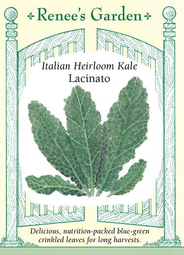 A packet of Renee's Italian Heirloom Kale Lacinato seeds. There is a drawing of Italian heirloom kale. Text across the bottom reads: 