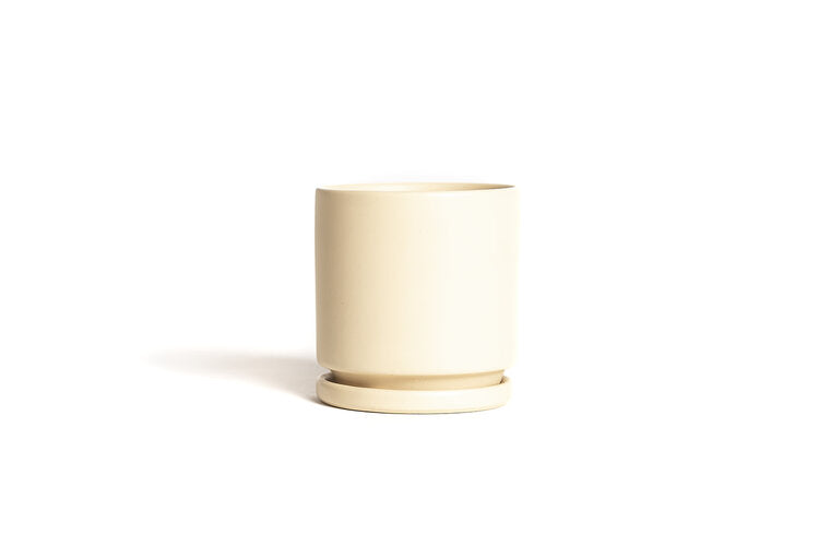 Almond: this cylindrical pot is a light white-beige color.