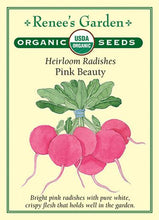 Load image into Gallery viewer, A packet of Renee&#39;s &#39;Pink Beauty&#39; radish seeds. There is an illustration of a bundle of vibrantly pink radishes that are tied together with a blue band in the center of the packet. Text across the bottom reads: &quot;Bright pink radishes with pure white, crispy flesh that holds well in the garden.&quot;
