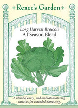 Load image into Gallery viewer, A packet of Renee&#39;s Long Harvest Broccoli All Season Blend seeds. There is an illustration of a head of broccoli in the center of the packet. Text across the bottom reads: &quot;A blend of early, mid and late-maturing varieties for extended harvesting.&quot;
