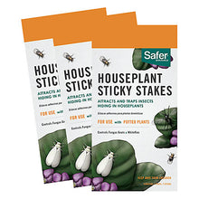 Load image into Gallery viewer, Three packets of Houseplant Sticky Stakes, showing off the packaging of the product. Illustrations show insects on green foliage.
