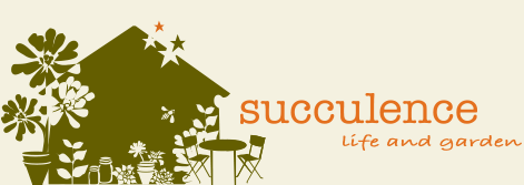 The logo for Succulence, which features the silhouettes of a house surrounded by succulents and houseplants. To the right, text reads: 