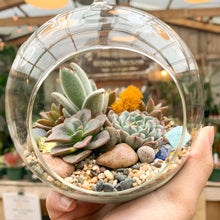 Load image into Gallery viewer, A hand holds a glass globe which is open in front. The globe is planted with succulents of different shapes, sizes, and colors. There is a tuft of bright mustard yellow moss in the back. The succulents are planted into aquarium sand.
